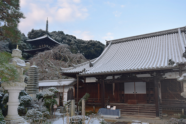 當麻寺護念院ほんのり雪景色