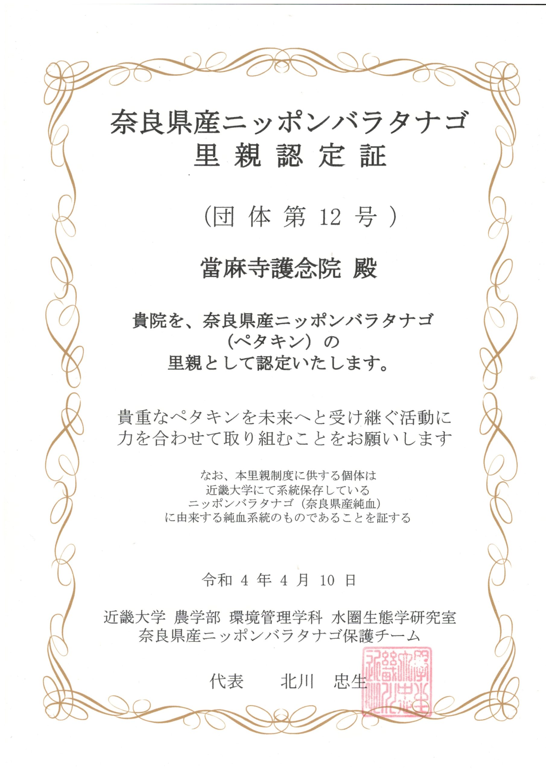 ペタキン ニッポンパラタナゴ を護る 當麻寺 護念院 ペタキン ニッポンパラタナゴ を護る 當麻寺 護念院