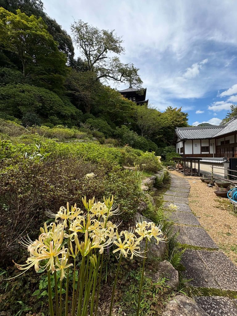 秋彼岸に寄せて